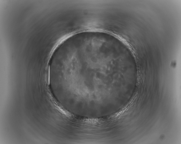 X0000096141223200801251033