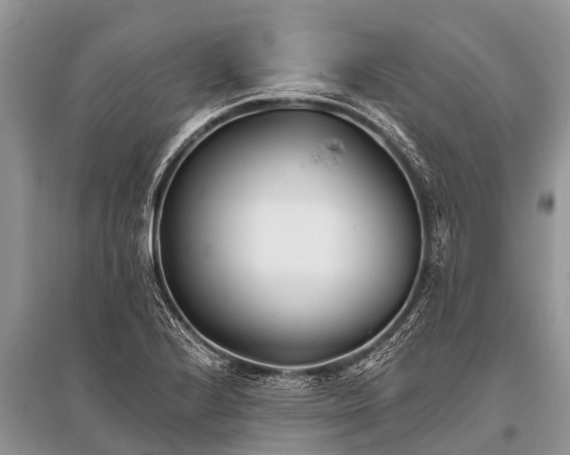 X0000096141224200801251033