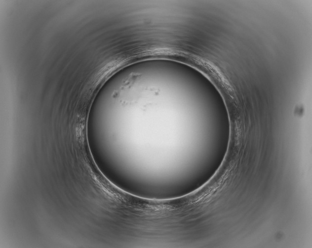 X0000096141225200801251033
