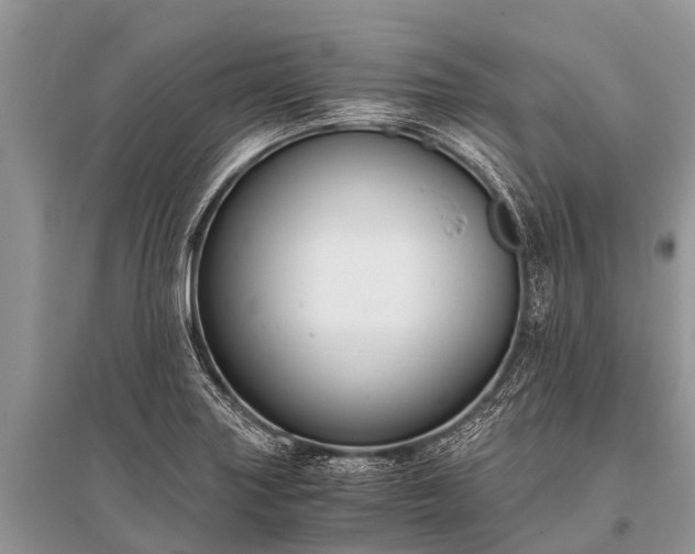 X0000096141227200801251033