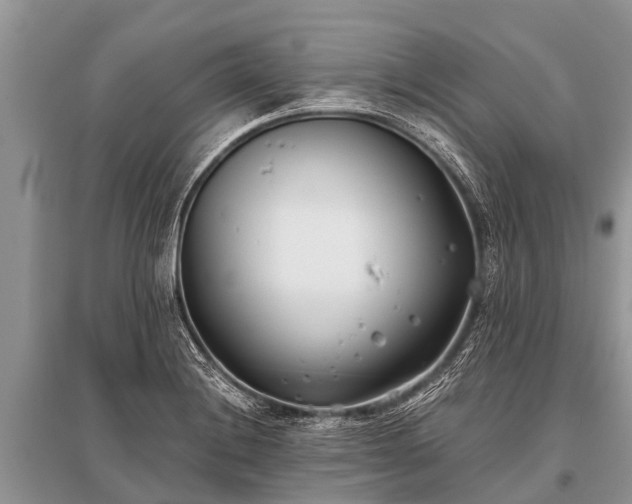 X0000096141228200801251033