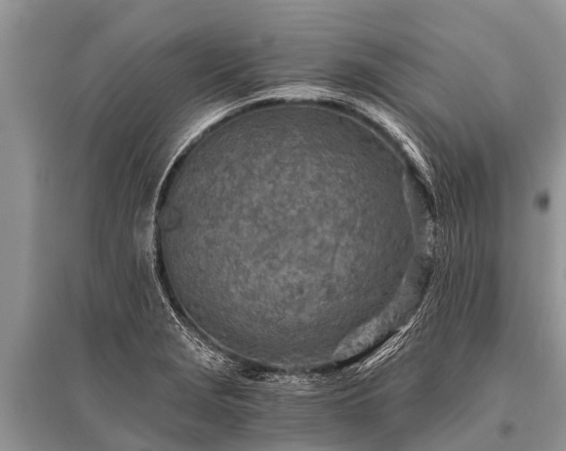 X0000096141229200801251033
