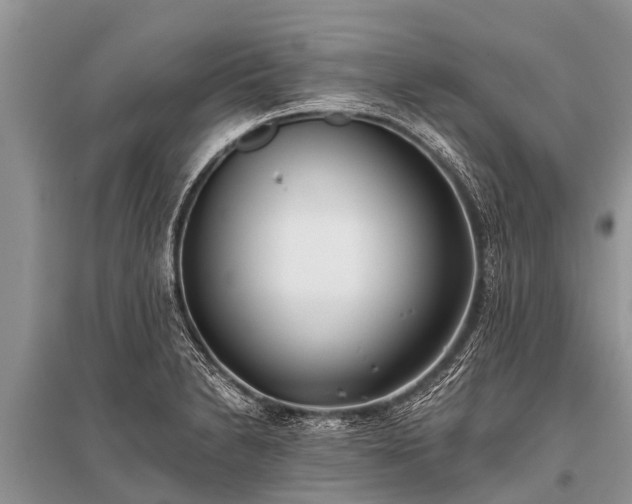 X0000096141230200801251033