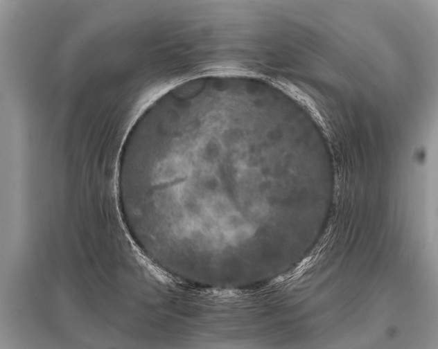 X0000096141231200801251033