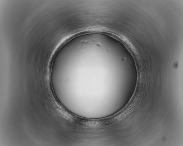 X0000096141232200801251033