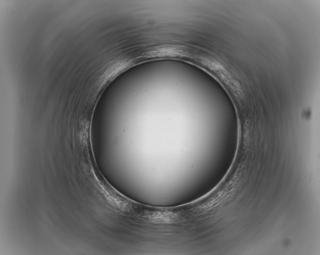 X0000096141233200801251033