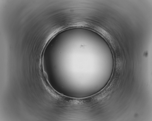 X0000096141234200801251033