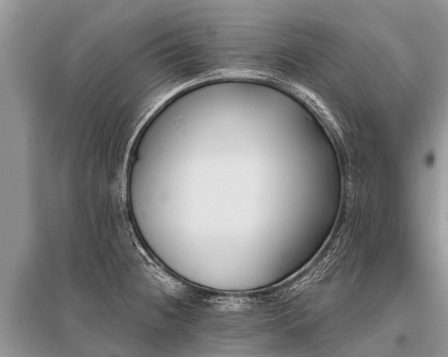 X0000096141236200801251033
