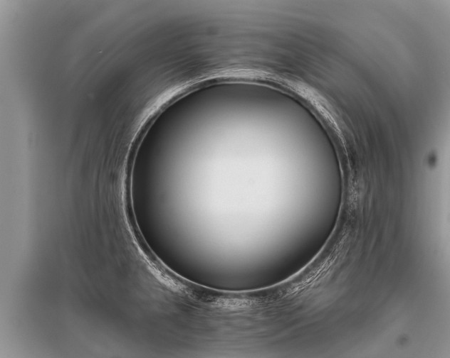 X0000096141237200801251033