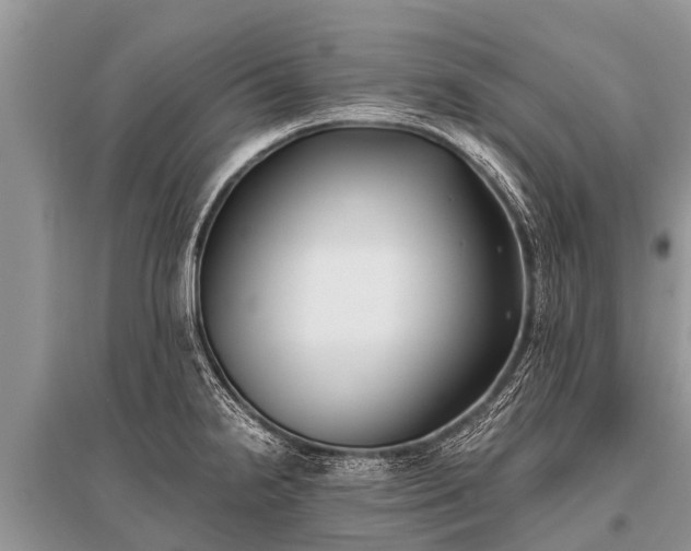 X0000096141238200801251033
