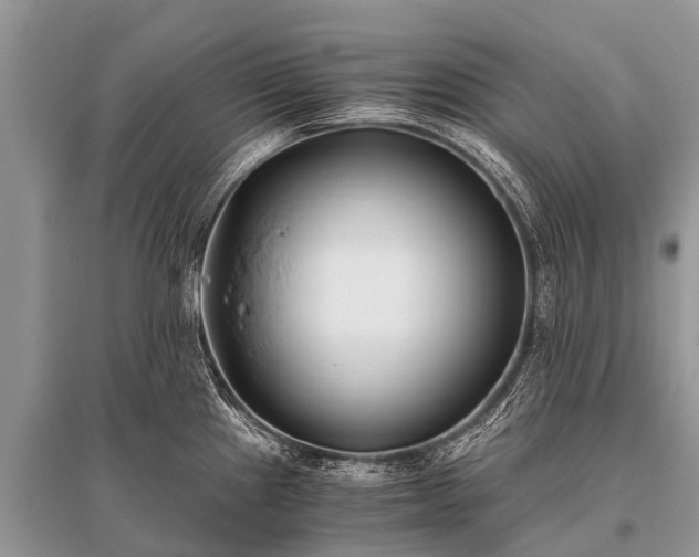 X0000096141241200801251033