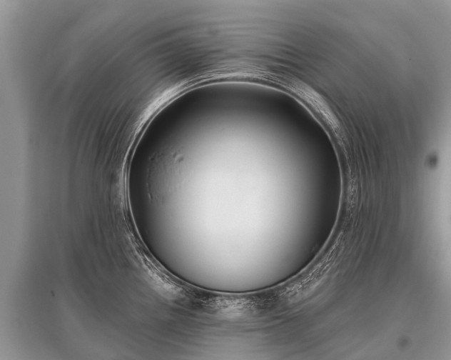 X0000096141242200801251033