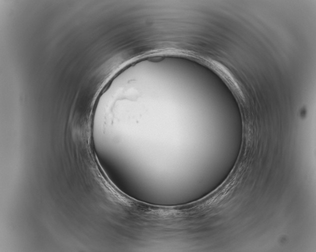 X0000096141244200801251033