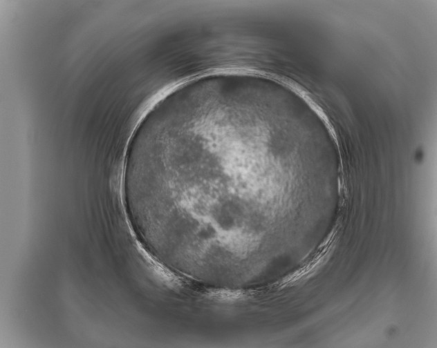 X0000096141245200801251033