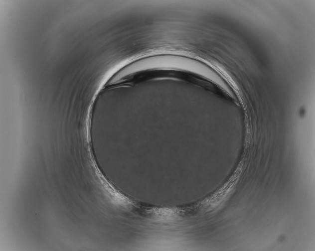 X0000096141246200801251033