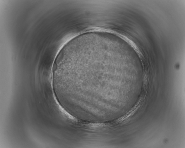 X0000096141247200801251034