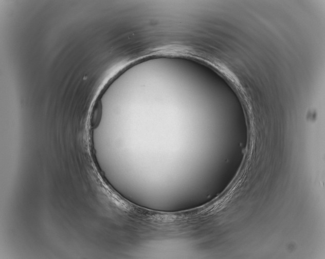 X0000096141248200801251034
