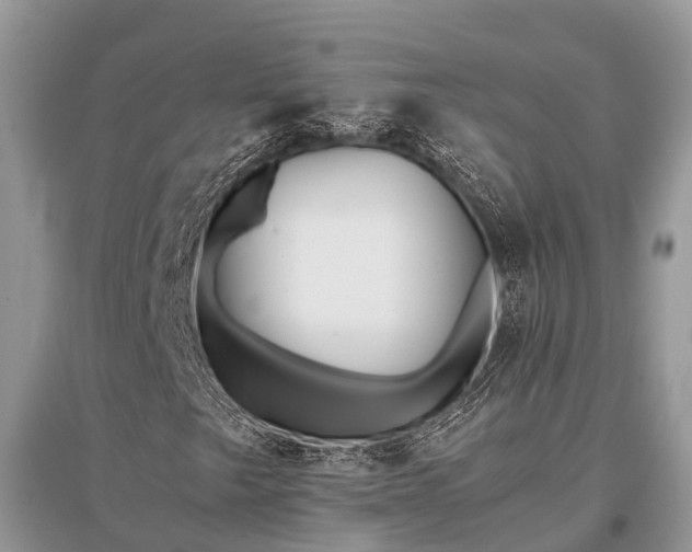 X0000096141249200801251033