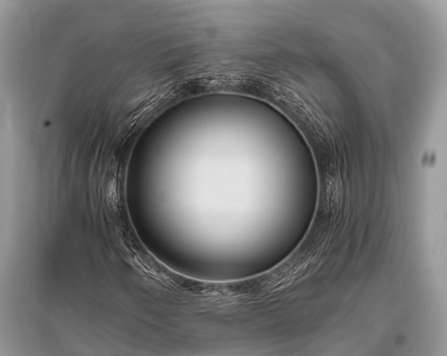 X0000096141250200801251033