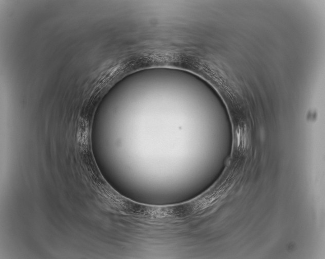 X0000096141251200801251033