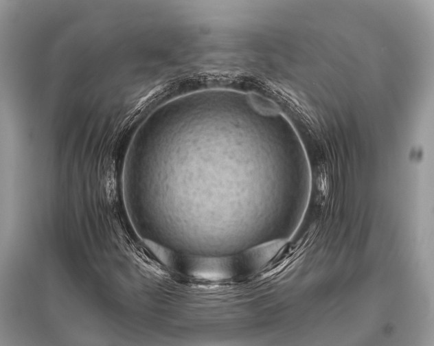 X0000096141252200801251033