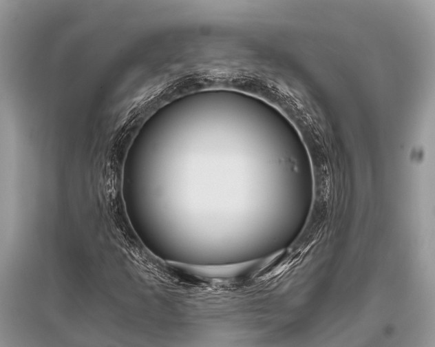 X0000096141253200801251033
