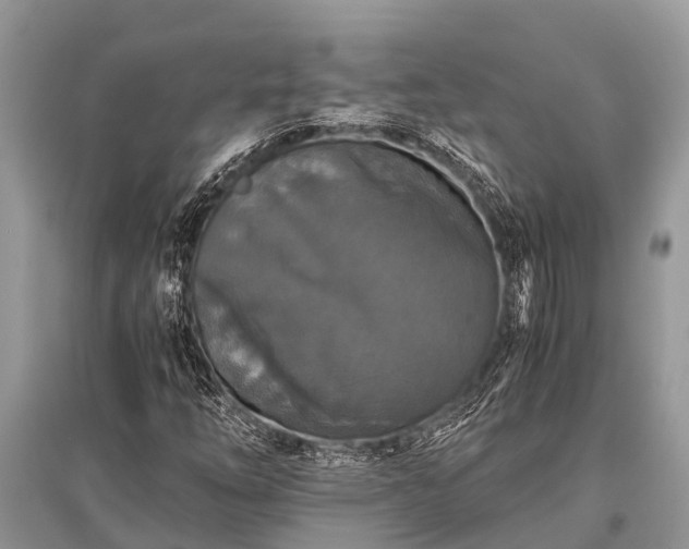 X0000096141254200801251033