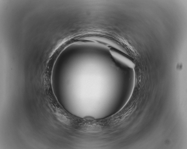 X0000096141256200801251033