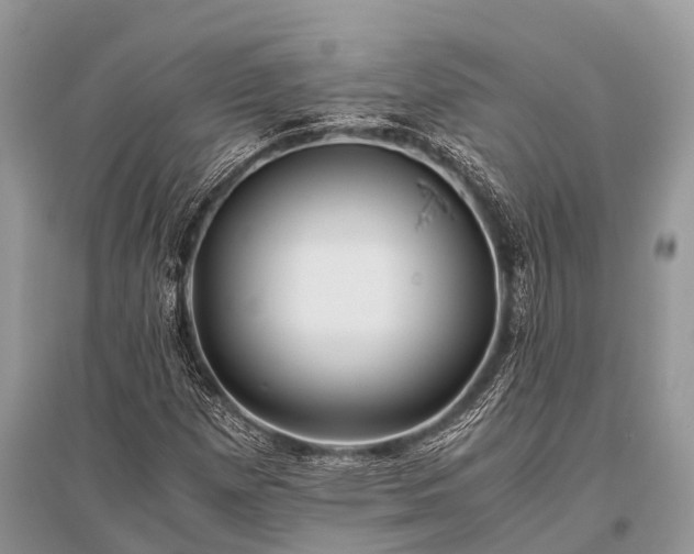 X0000096141257200801251033