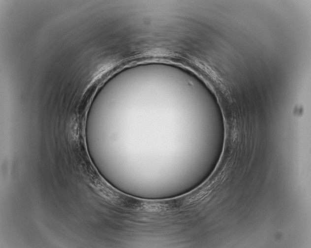 X0000096141258200801251033