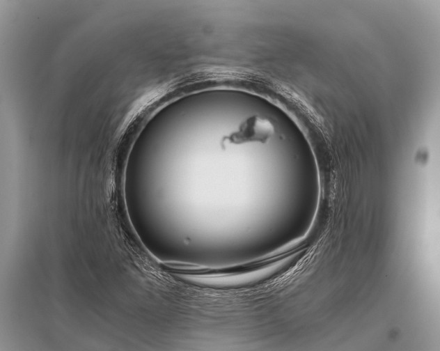 X0000096141261200801251033