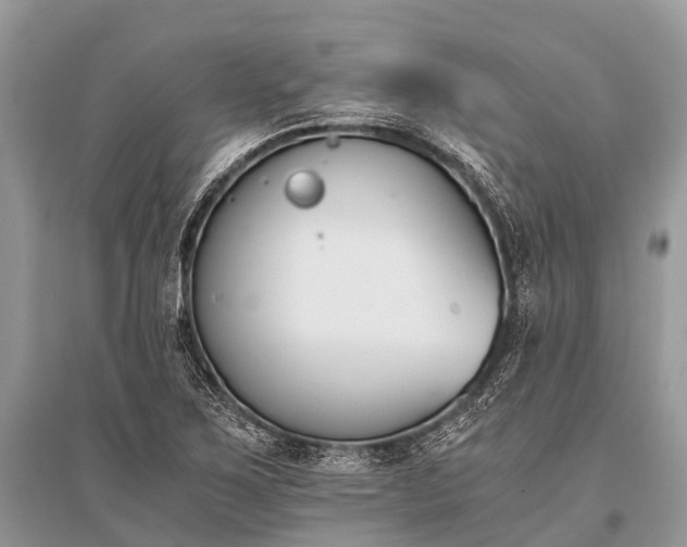 X0000096141267200801251032