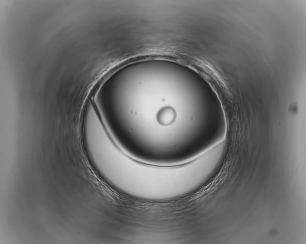 X0000096141268200801251032