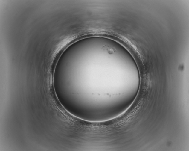 X0000096141269200801251032