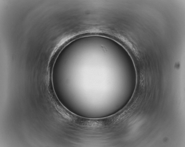 X0000096141270200801251032