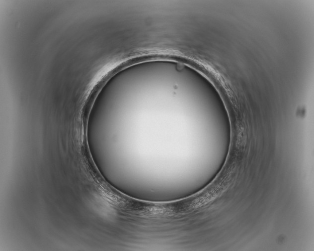 X0000096141271200801251032