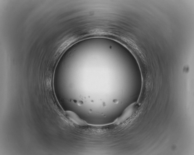 X0000096141273200801251032