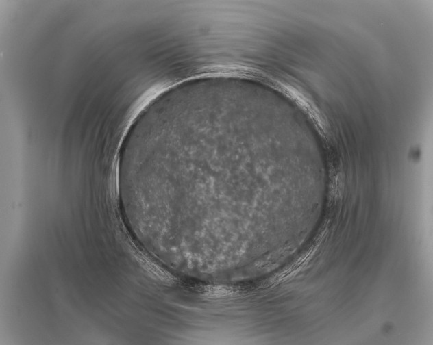 X0000096141275200801251032