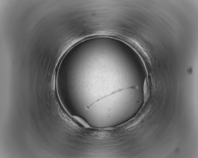 X0000096141276200801251032