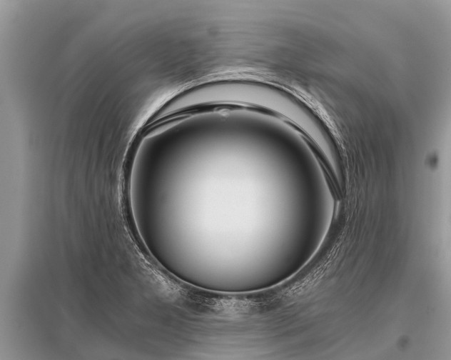 X0000096141277200801251032