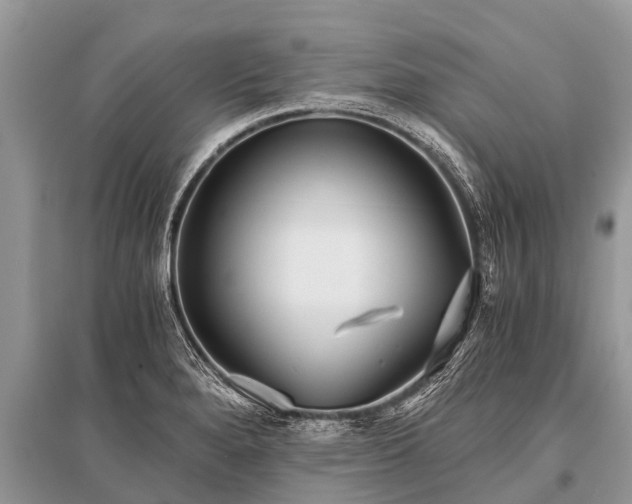 X0000096141280200801251032