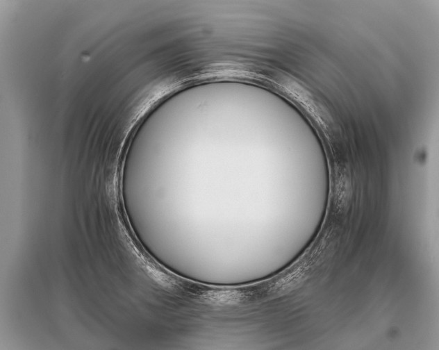 X0000096141282200801251032