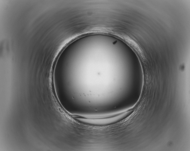 X0000096141288200801251032