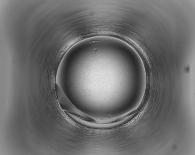 X0000096141289200801251032