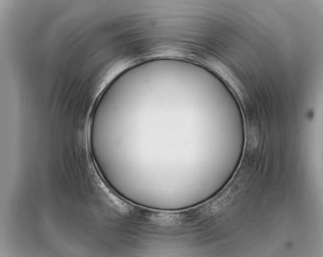 X0000096141290200801251032