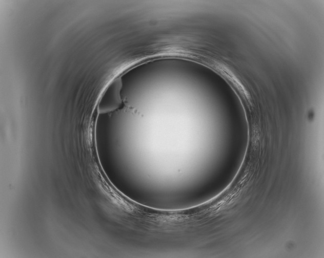 X0000096141292200801251032