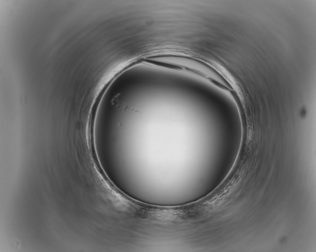 X0000096141293200801251032