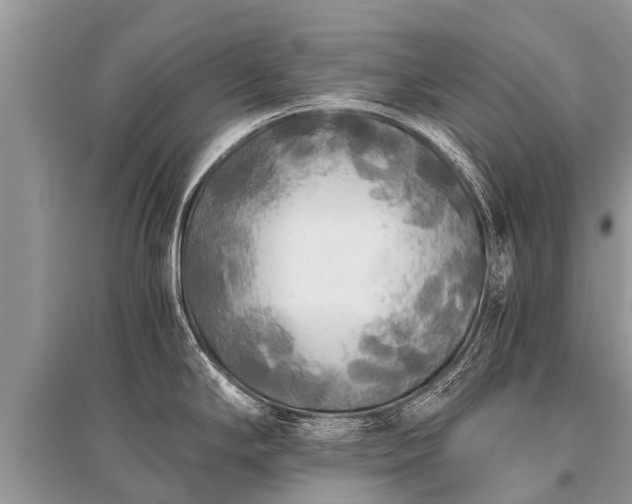 X0000096141294200801251032
