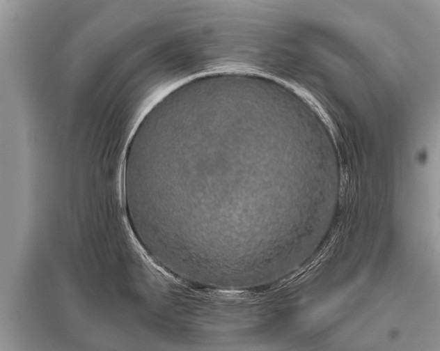 X0000096141295200801251032