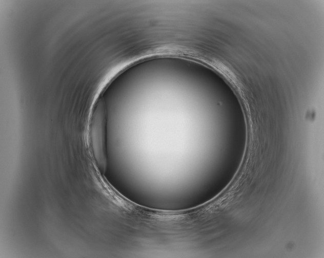 X0000096141296200801251032
